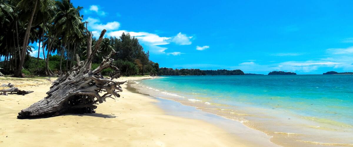 A beach with clear turquoise water, sandy shore, and palm trees.