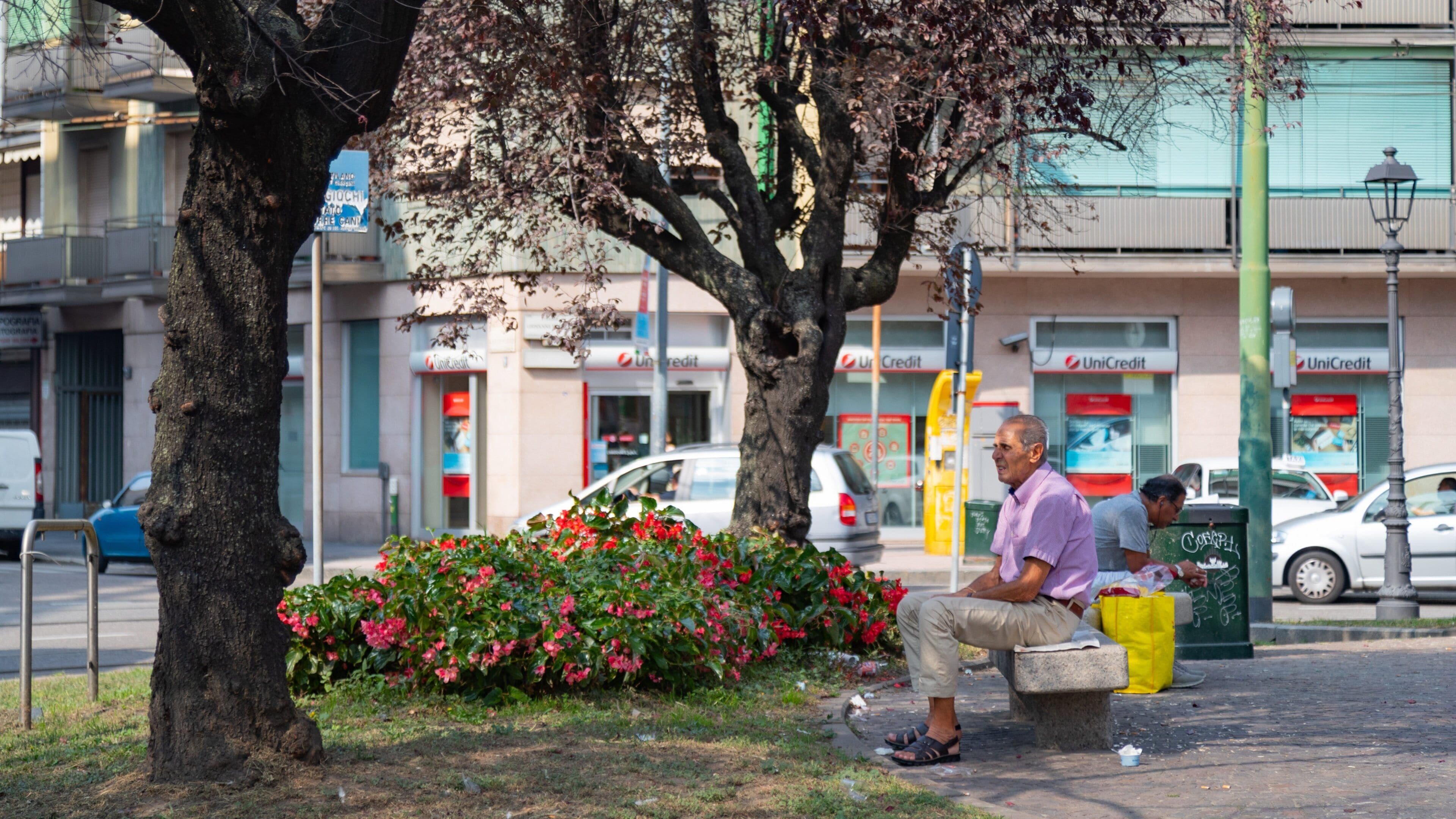 Bovisa featuring a park and wildflowers as well as an individual male