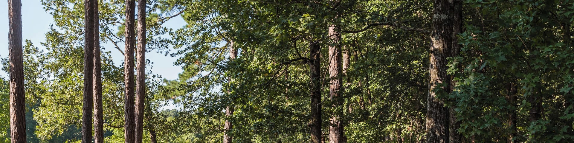 EyeEm Custom Shoots Q4 2018