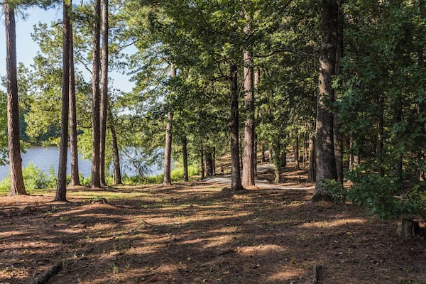 EyeEm Custom Shoots Q4 2018