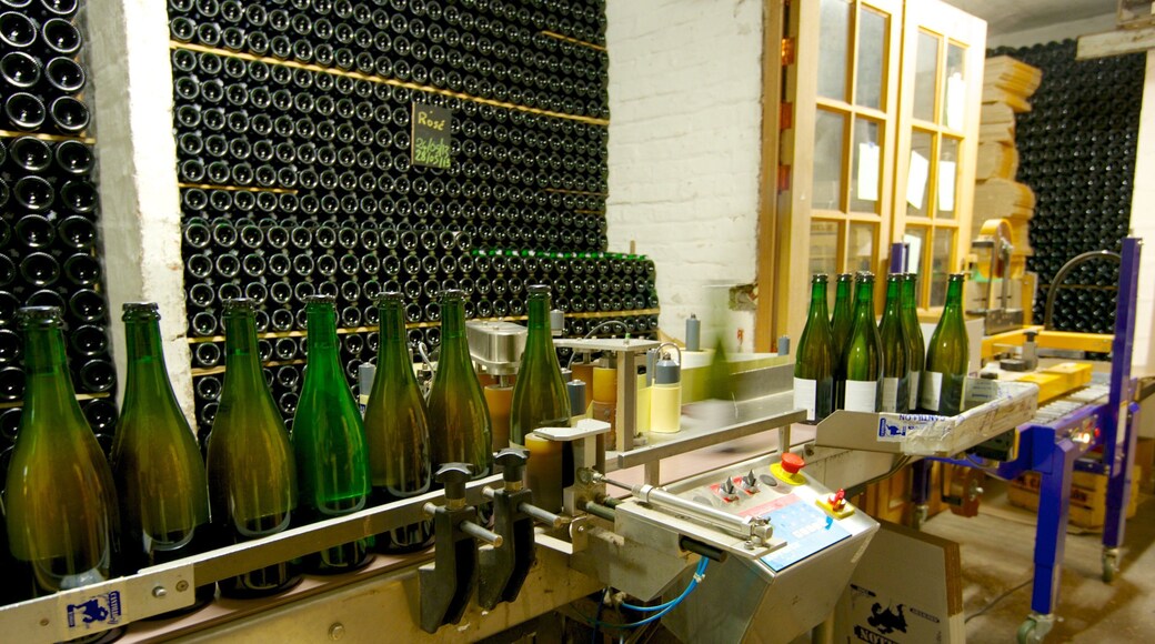 Anderlecht which includes drinks or beverages and interior views