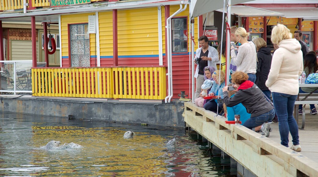 Fisherman\'s Wharf Park which includes marine life as well as a small group of people