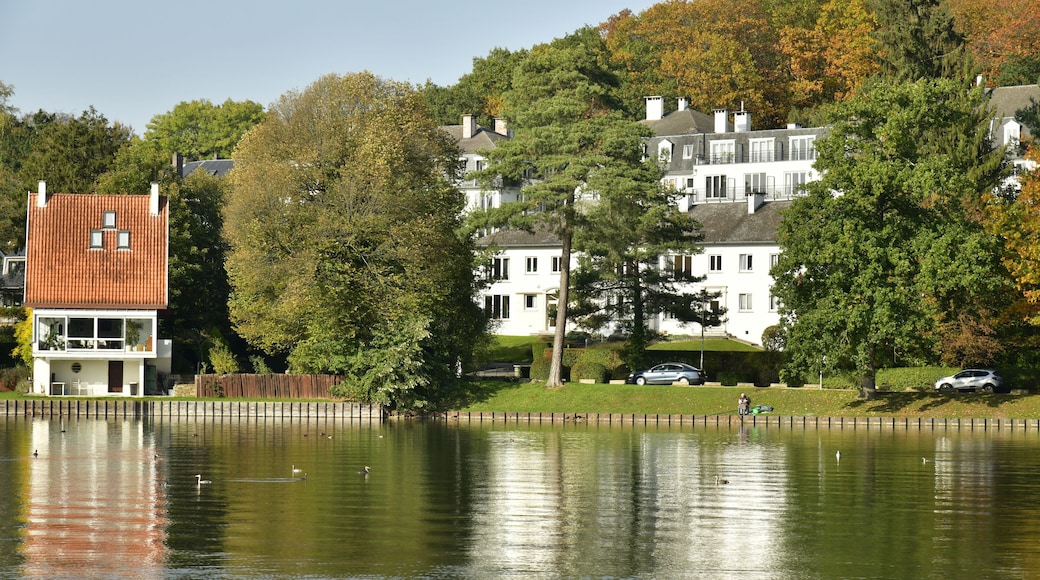 Le lac de Genval dans un cadre bucolique avec ses villas et immeubles à appartements dissimulés dans la nature luxuriante qui l'entoure en automne