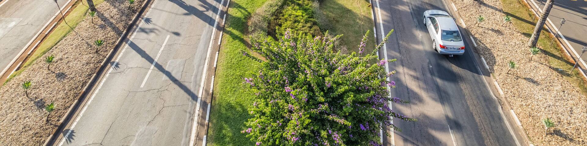 Paulinia, Sao Paulo, Brazil. October 25 2022: Portal of the city of Paulínia in the interior of São Paulo. Cars, city entrance and castle style portal.
