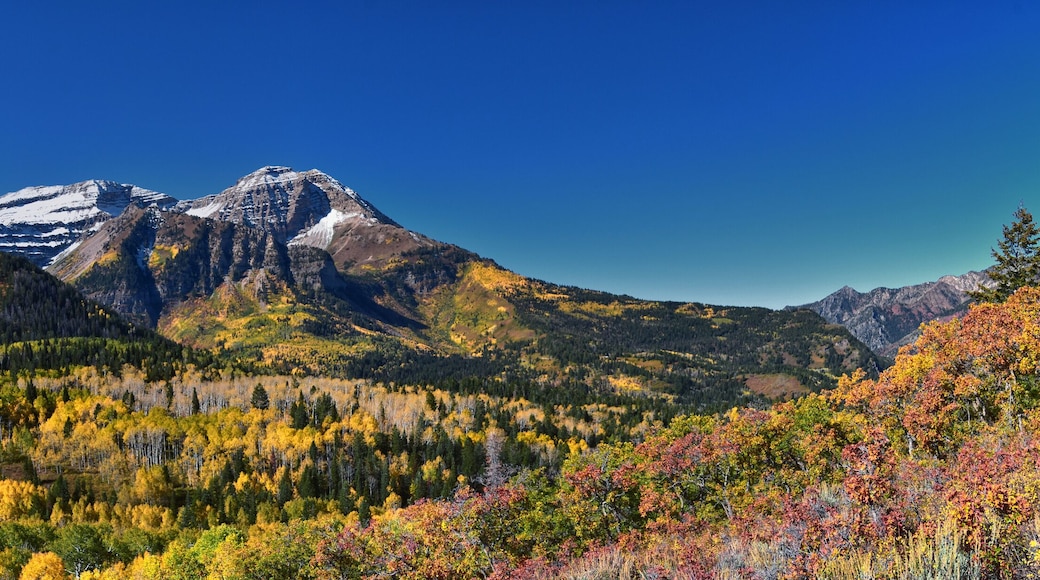 유타 밸리 컨벤션 센터