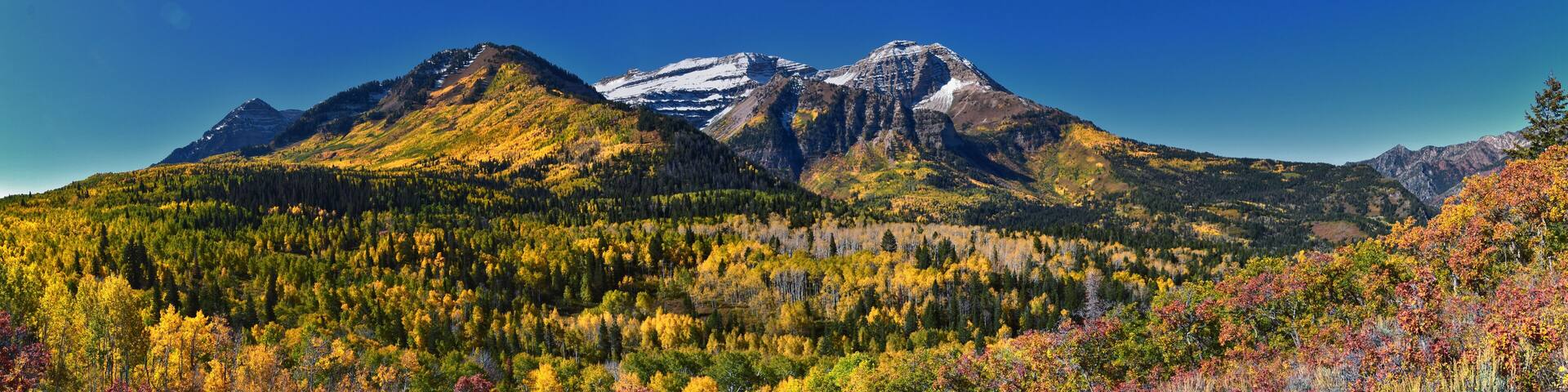 Timpanogos Mountain Peak from Willow Pine Hollow Ridge Trail hiking view Wasatch Rocky Mountains, Utah. United States.