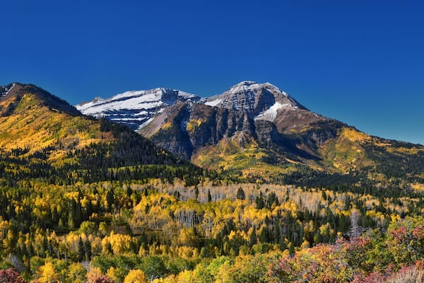 Timpanogos Mountain Peak from Willow Pine Hollow Ridge Trail hiking view Wasatch Rocky Mountains, Utah. United States.