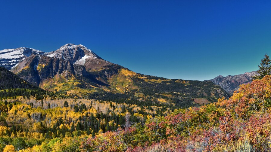 Timpanogos Mountain Peak from Willow Pine Hollow Ridge Trail hiking view Wasatch Rocky Mountains, Utah. United States.