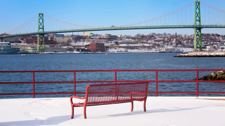 View of the Bridge