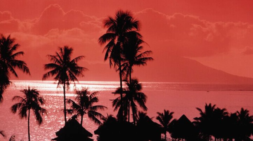 Palm trees on beach at sunset, Tahiti