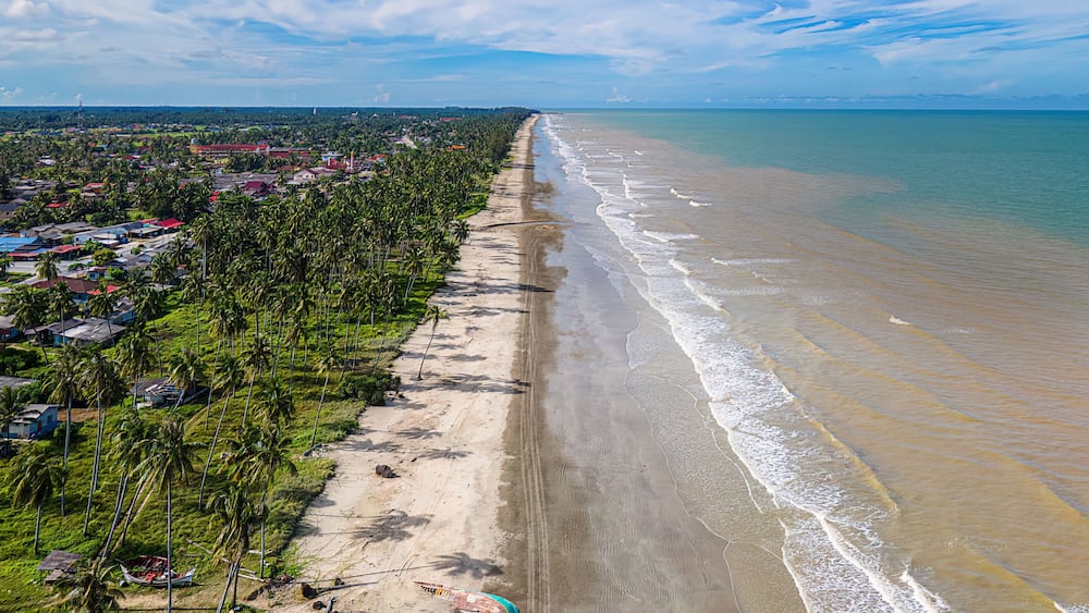 A coastal landscape with a sandy beach, palm trees, and a view of the ocean.