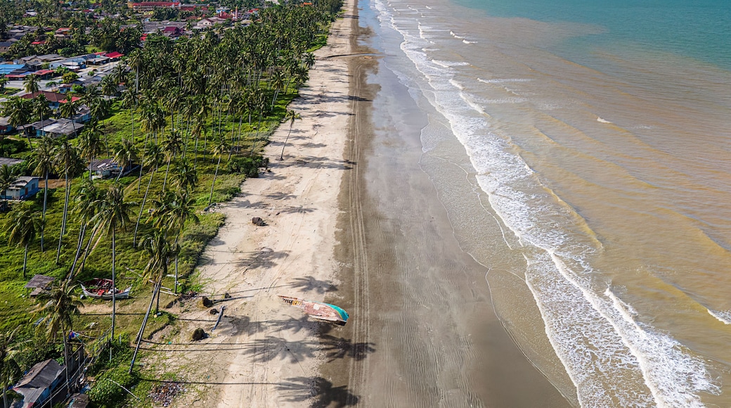 Paisaje costero con una playa arenosa, palmeras y vista al océano.