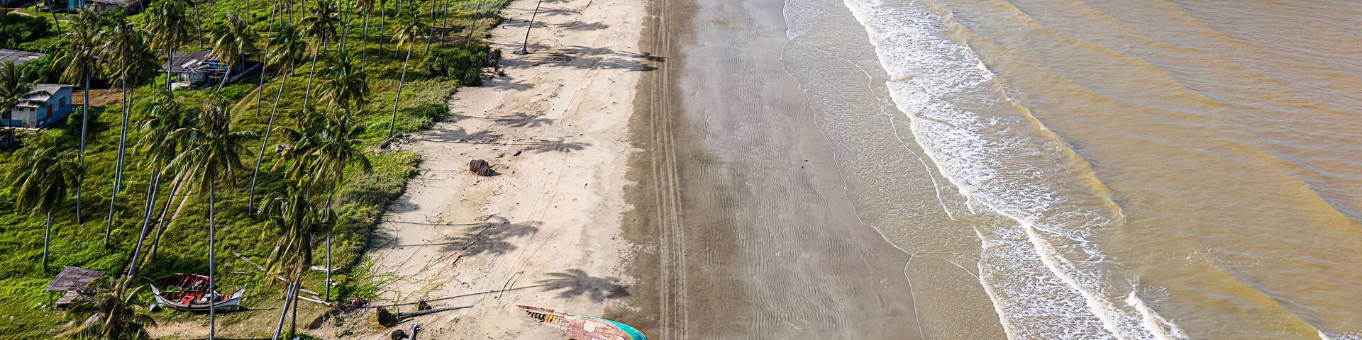 A coastal landscape with a sandy beach, palm trees, and a view of the ocean.