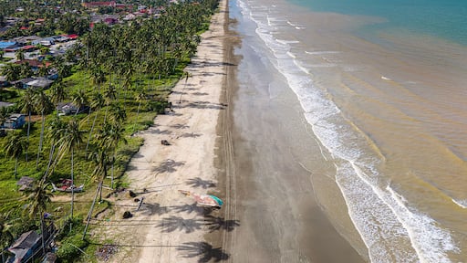 A coastal landscape with a sandy beach, palm trees, and a view of the ocean.