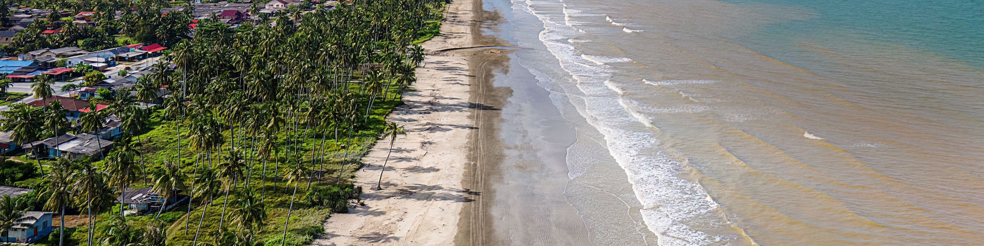 Paisaje costero con una playa arenosa, palmeras y vista al océano.