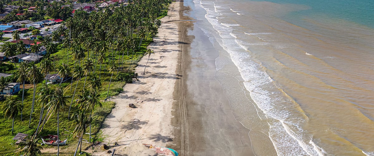 A coastal landscape with a sandy beach, palm trees, and a view of the ocean.
