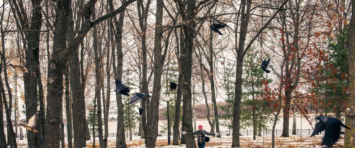 Adult fooling around by scaring birds in the forest, birds flying up, fun game in the city park outdoors