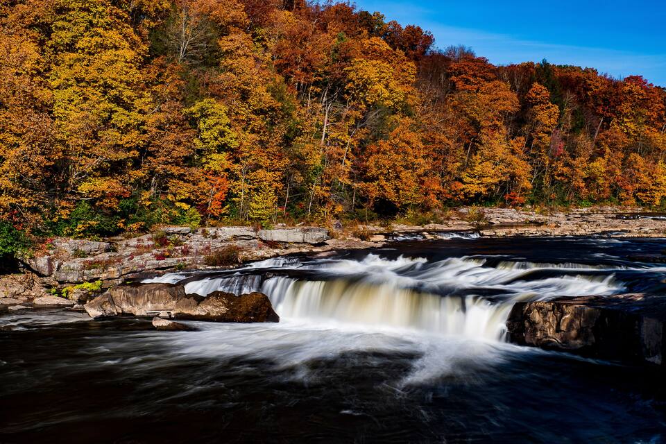 A waterfall surrounded by autumn-colored trees.