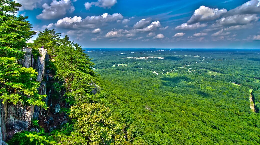 Taman Negara Gunung Crowders