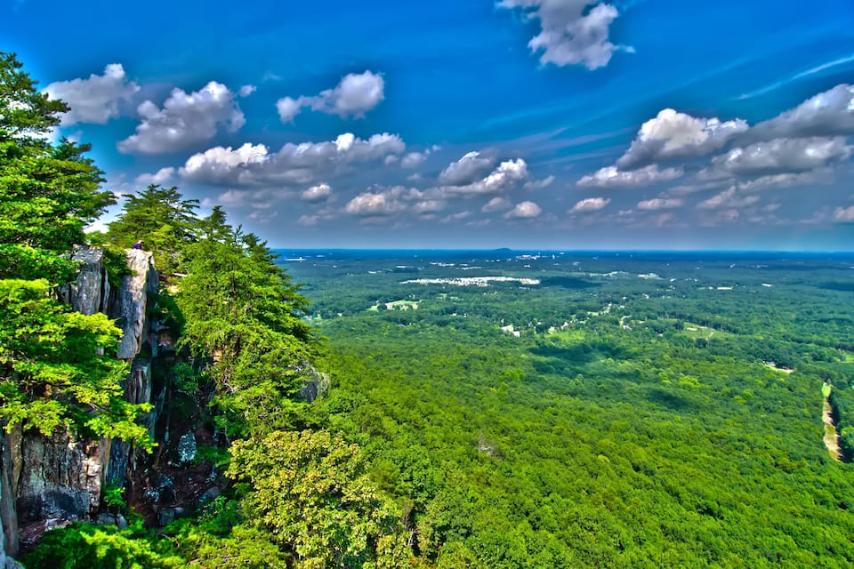 A lush green forest with a rocky cliff and a clear blue sky.
