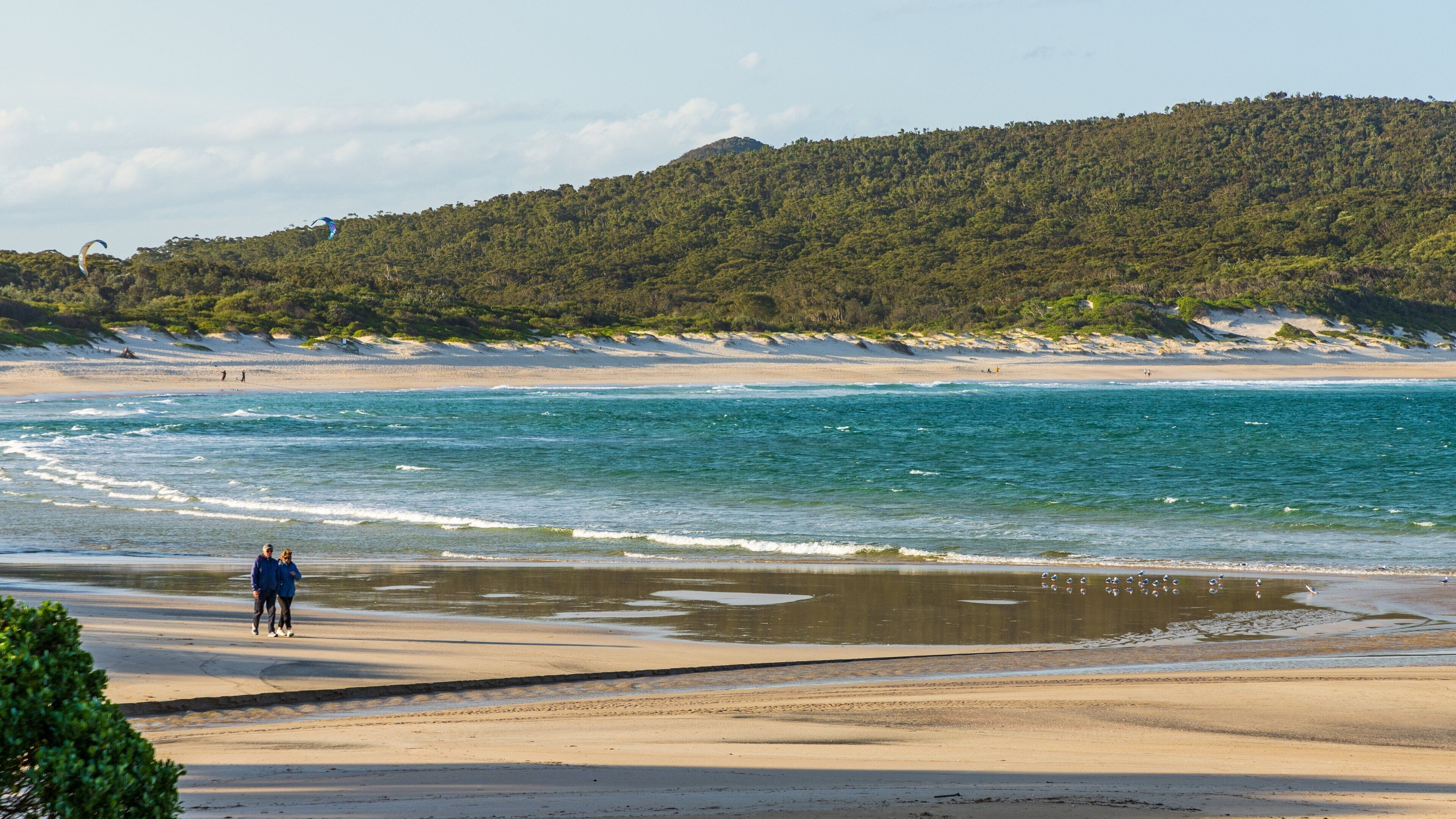 A beach with clear blue water, a sandy shore, and a forested hill in the background.