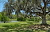Jungle Garden, Avery Island, Louisiana