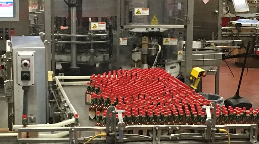 Bottling at the Tabasco factory. Tour is self-guided and about an hour for $5.50. Tastings at the Country store. Very interesting!