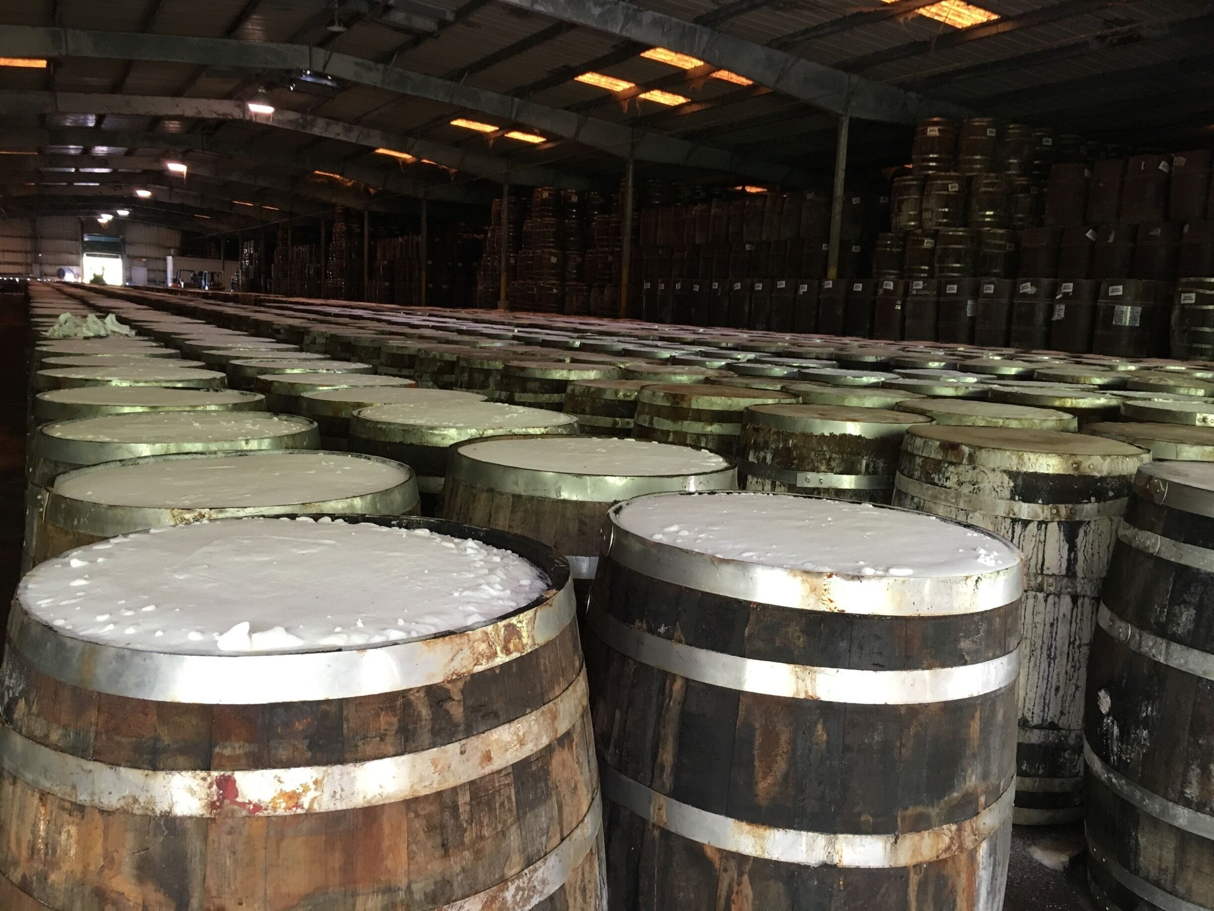 Barrel Warehouse at the Tabasco factory.  Tour is self-guided and about an hour for $5.50.  Tastings at the Country store. Very interesting!