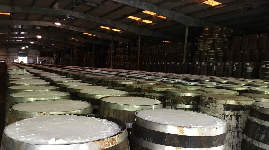 Barrel Warehouse at the Tabasco factory. Tour is self-guided and about an hour for $5.50. Tastings at the Country store. Very interesting!