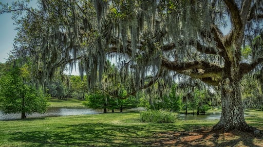 Avery Island