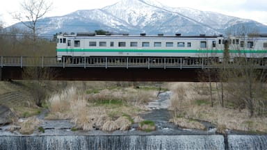 早春の十勝平野を走るキハ40系普通列車