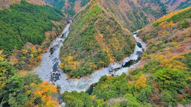 The Iya Valley region in Tokushima Prefecture, Japan is a scenic area known for its dramatic mountain valleys.