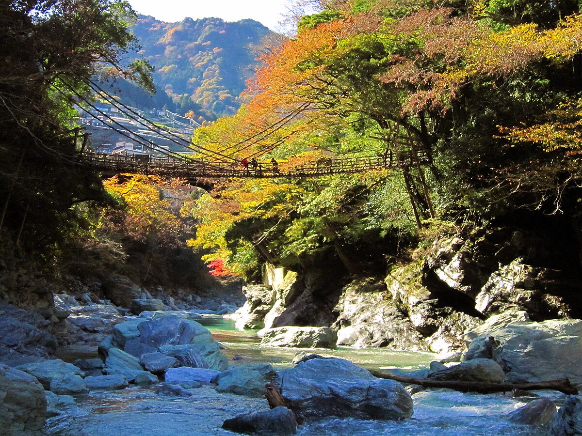 A river with rocks, a wooden bridge, and autumn-colored trees.