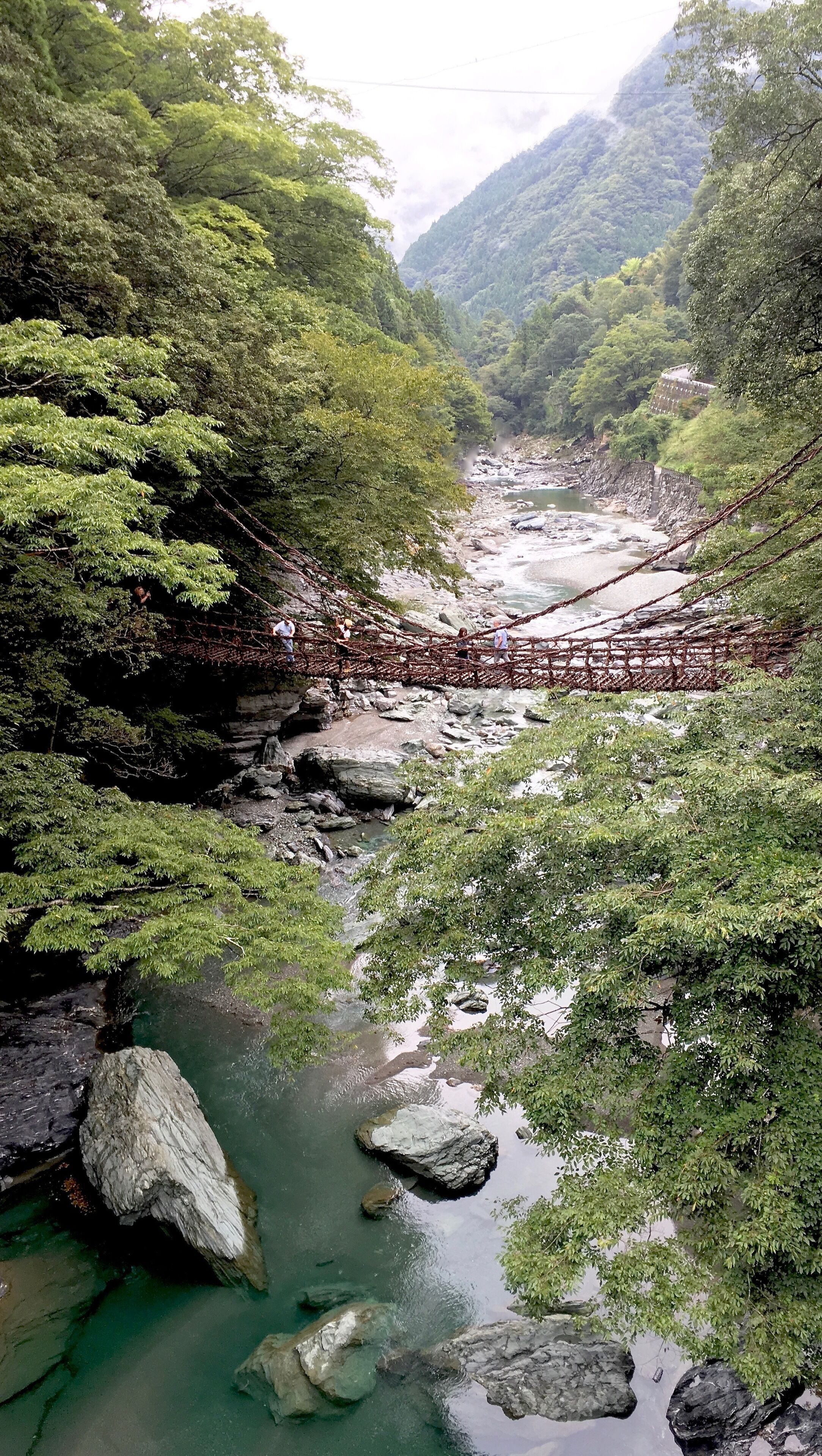 #TROVEMBER 
Oku Iya Niju-Kazura Bridge is a set of two suspension bridges located in Iya Valley on Shikoku Island in Miyoshi, Tokushima Prefecture’s Higashiiya Sugeyoi.  

The bridge in this photo is the larger of the two bridges, Husband Bridge (Otto no Hashi). It stretches 44 meters across the river next to a small waterfall. 

The slightly lower Wife Bridge (Tsuma no Hashi) is a 22 meter span a little way upstream.  The bridges are connected to each other by a network of paved hiking trails.

The vine ropes of the bridges are constructed with steel cables hidden within the braided monkey kiwi vines that are then tied to a tree, holding the bridge suspended over the Iyagawa River. 

Iya Valley is a scenic area known for its dramatic mountain valleys and  thatched roof farmhouses. 

Iya Valley and the inner parts of Shikoku have historically been remote and difficult to enter, making them a favorite retreat for refugees and defeated warriors. Most notably, members of the Taira clan (aka Heike clan) were rumored to have entered the area after losing the Genpei War to the Minamoto clan in the late 12th century.

Today, the Iya Valley has become an increasingly popular destination due to its natural environment and for being one of the last few vestiges of old world Japan and is still relatively difficult to access.