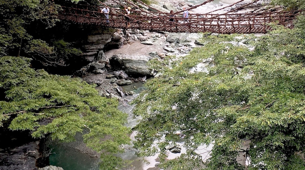 #TROVEMBER
Oku Iya Niju-Kazura Bridge is a set of two suspension bridges located in Iya Valley on Shikoku Island in Miyoshi, Tokushima Prefecture’s Higashiiya Sugeyoi.
The bridge in this photo is the larger of the two bridges, Husband Bridge (Otto no Hashi). It stretches 44 meters across the river next to a small waterfall.
The slightly lower Wife Bridge (Tsuma no Hashi) is a 22 meter span a little way upstream. The bridges are connected to each other by a network of paved hiking trails.
The vine ropes of the bridges are constructed with steel cables hidden within the braided monkey kiwi vines that are then tied to a tree, holding the bridge suspended over the Iyagawa River.
Iya Valley is a scenic area known for its dramatic mountain valleys and thatched roof farmhouses.
Iya Valley and the inner parts of Shikoku have historically been remote and difficult to enter, making them a favorite retreat for refugees and defeated warriors. Most notably, members of the Taira clan (aka Heike clan) were rumored to have entered the area after losing the Genpei War to the Minamoto clan in the late 12th century.
Today, the Iya Valley has become an increasingly popular destination due to its natural environment and for being one of the last few vestiges of old world Japan and is still relatively difficult to access.