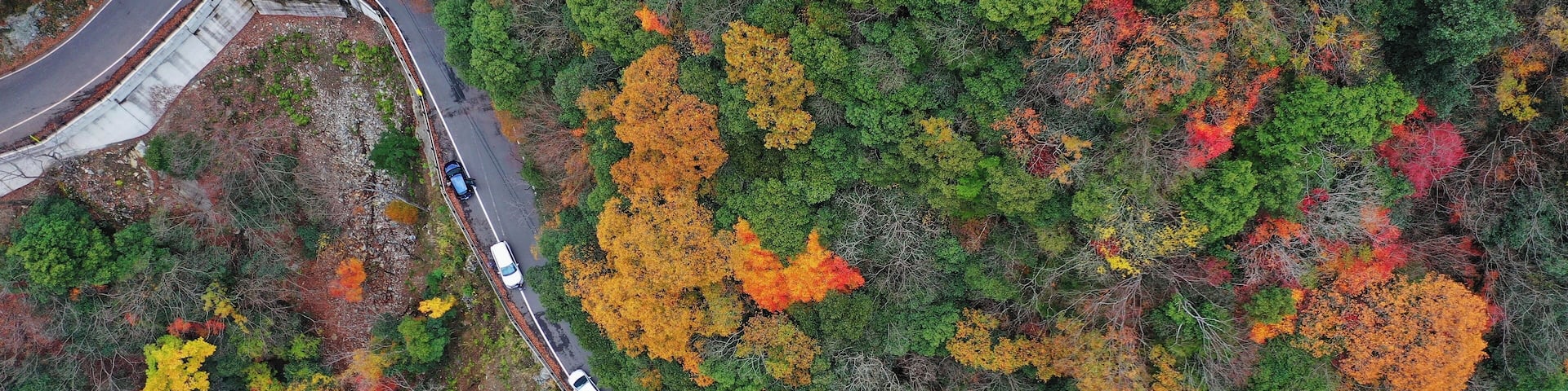 The valley is a famous travelling spot in Tokushima and the colourful autumn leaves attracted me to visit it.