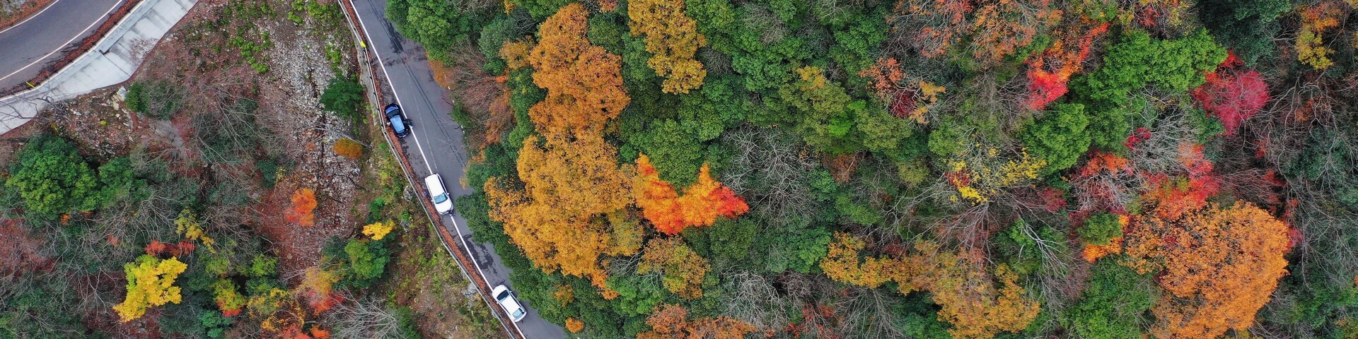 The valley is a famous travelling spot in Tokushima and the colourful autumn leaves attracted me to visit it.