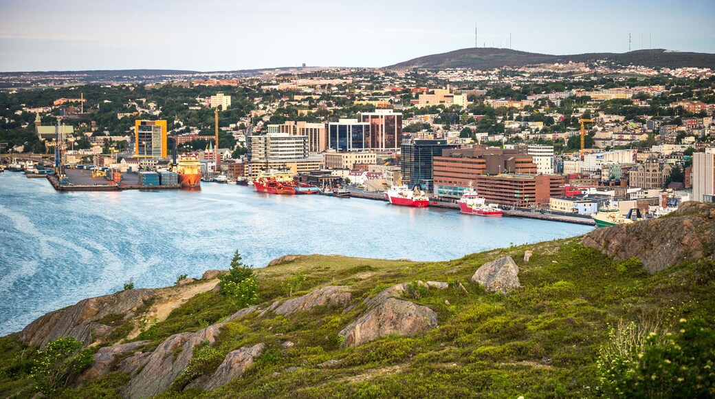 St. John's cityscape, capital city of Newfoundland and Labrador, Canada