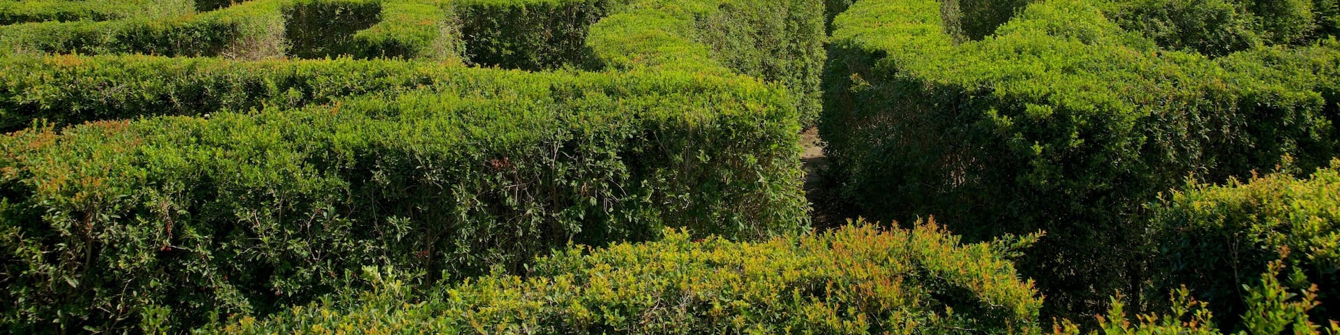 Redberry Farm featuring a park