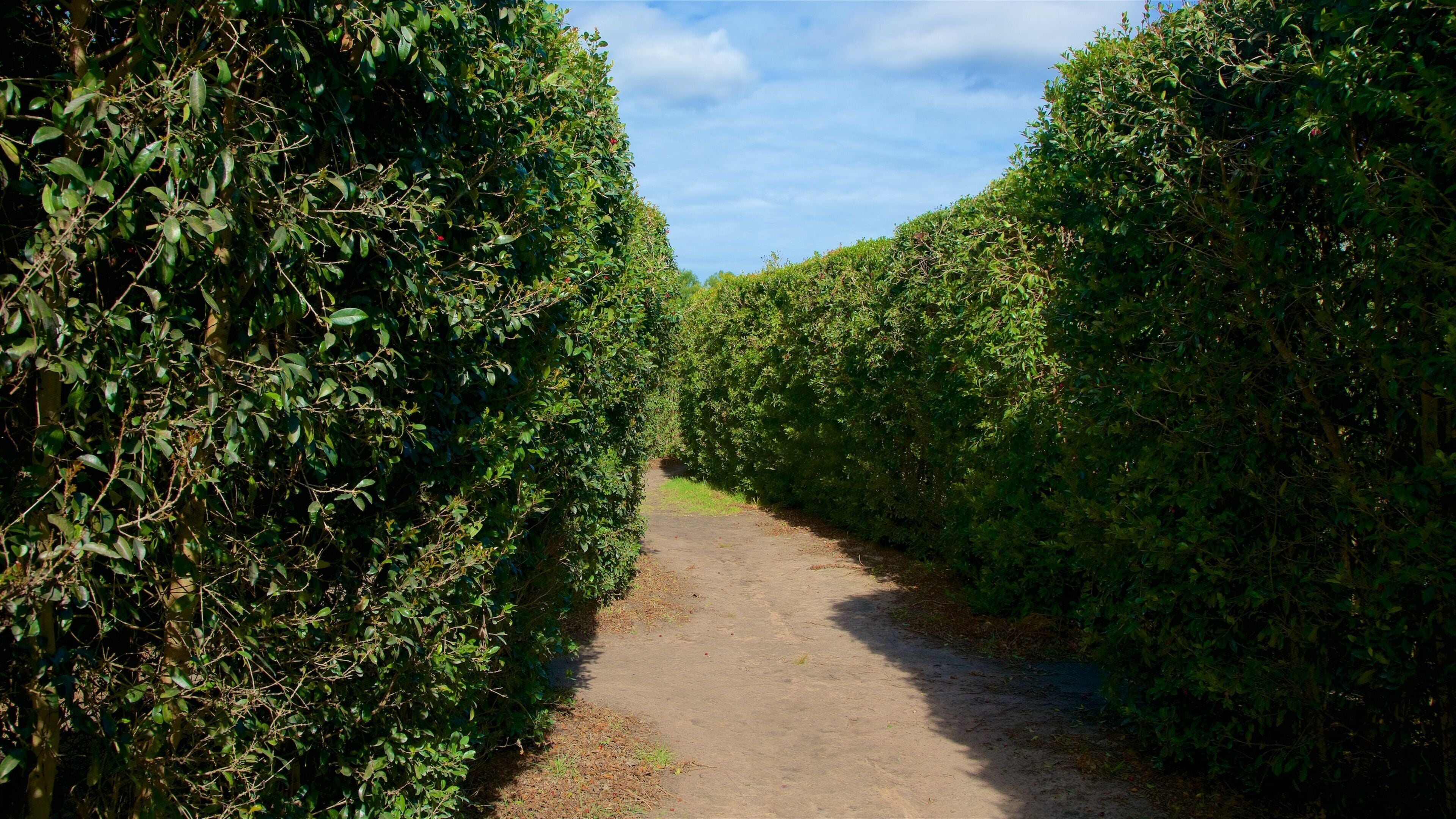 Redberry Farm mostrando un parque
