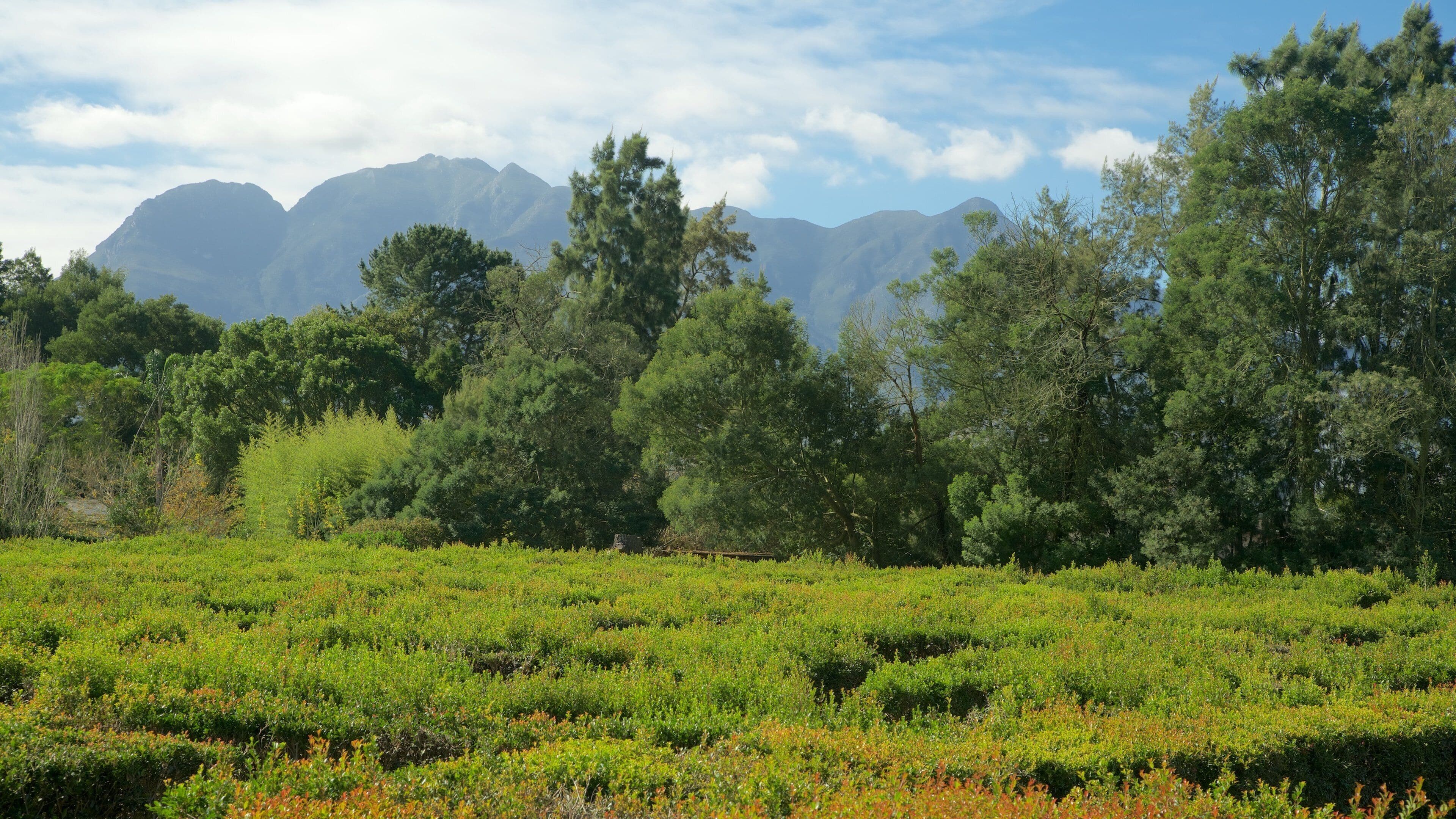 Redberry Farm ofreciendo un parque