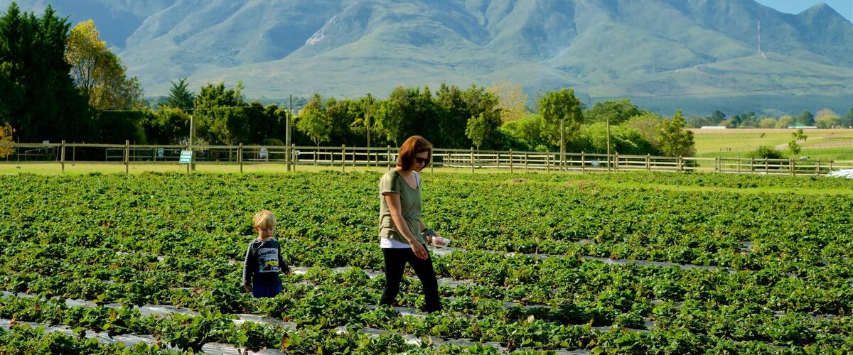 Redberry Farm as well as a family