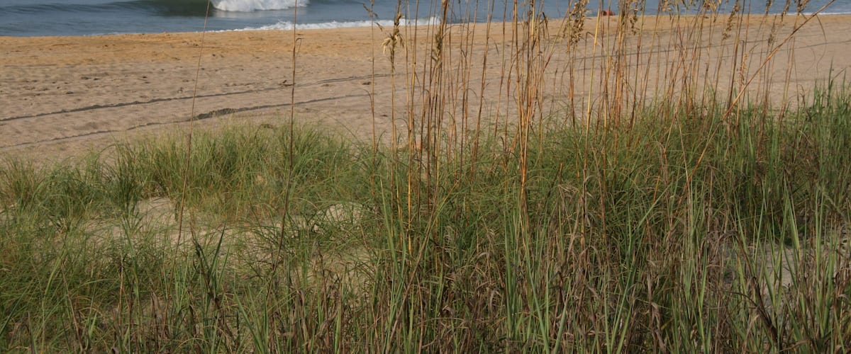 Nice place to rent a beach house for a quiet, family-friendly vacation.
#LifeAtExpedia