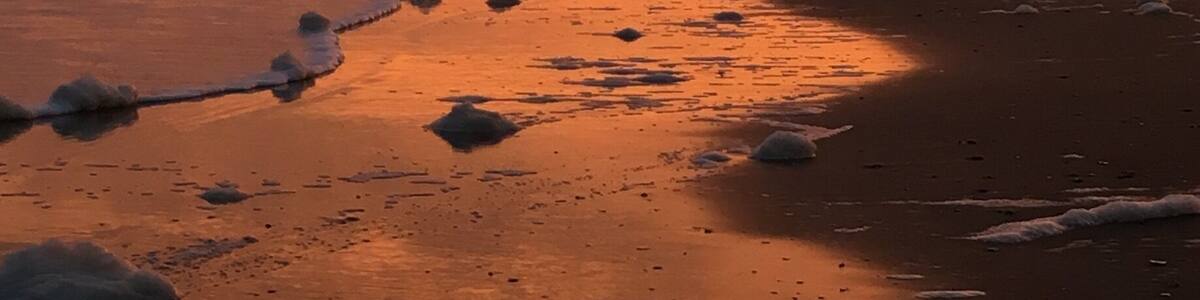 Once if the best family beaches, close to Myrtle Beach and other hotspots, but a world away from the touristy scene. Quiet peaceful and friendly #Golden