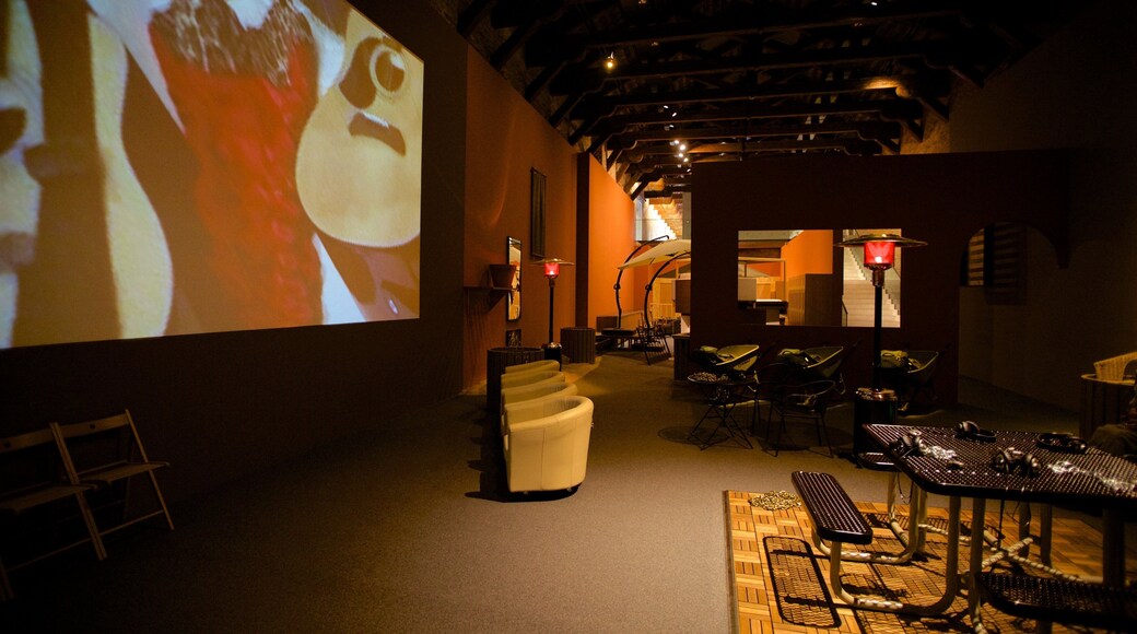 Punta della Dogana mostrando arte y vistas interiores