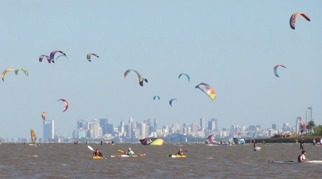 Partido de San Isidro