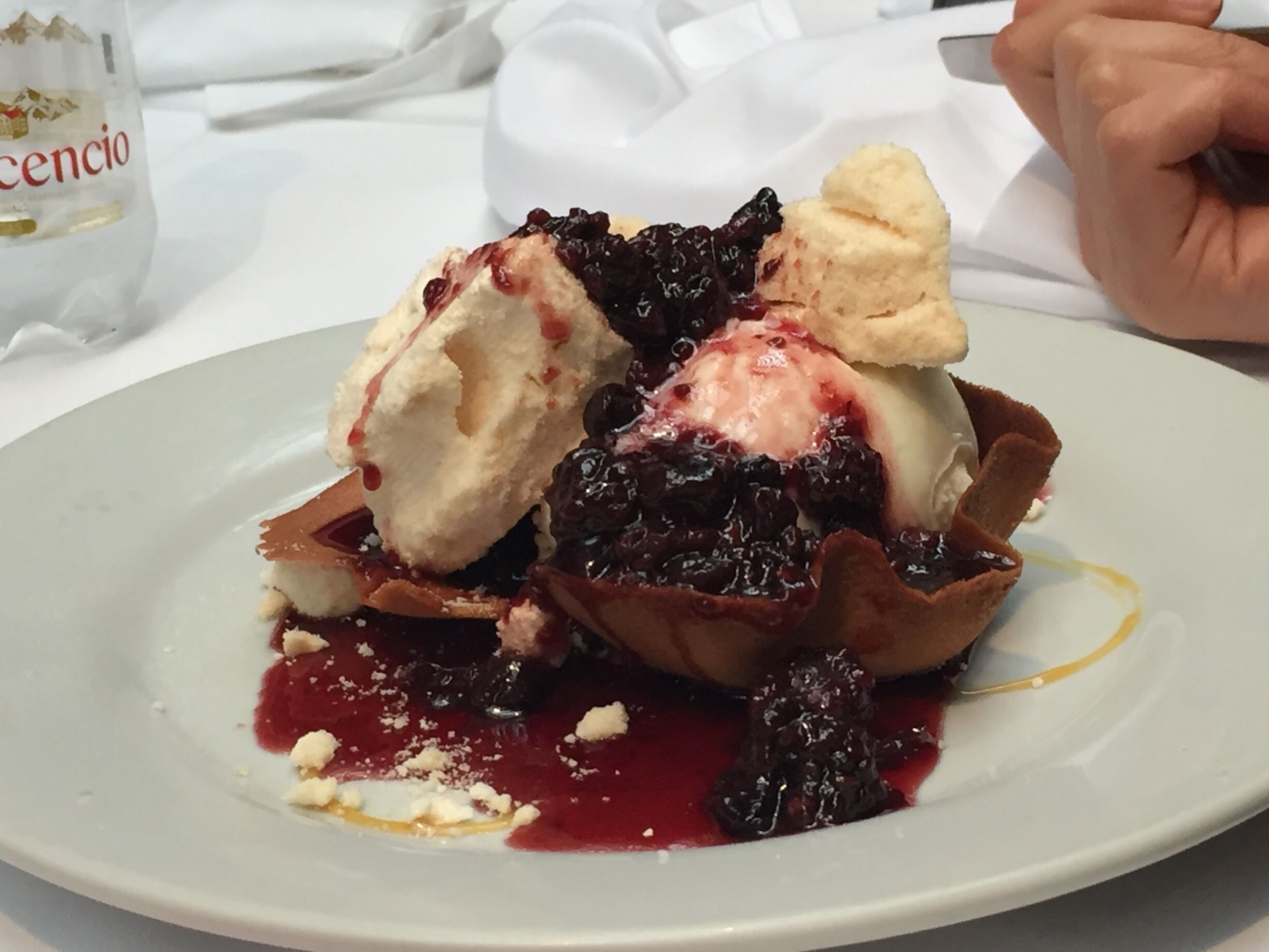 Tulipa con frutos rojos