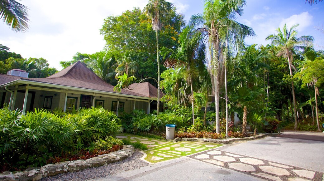 The Retreat Garden National Park featuring a garden, a house and tropical scenes