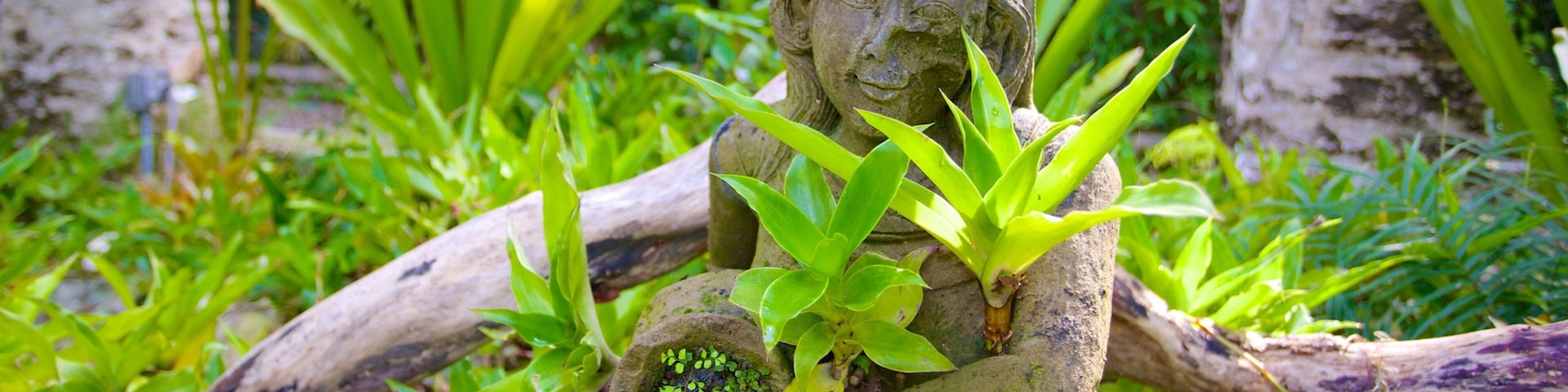 The Retreat Garden National Park which includes a statue or sculpture and a park