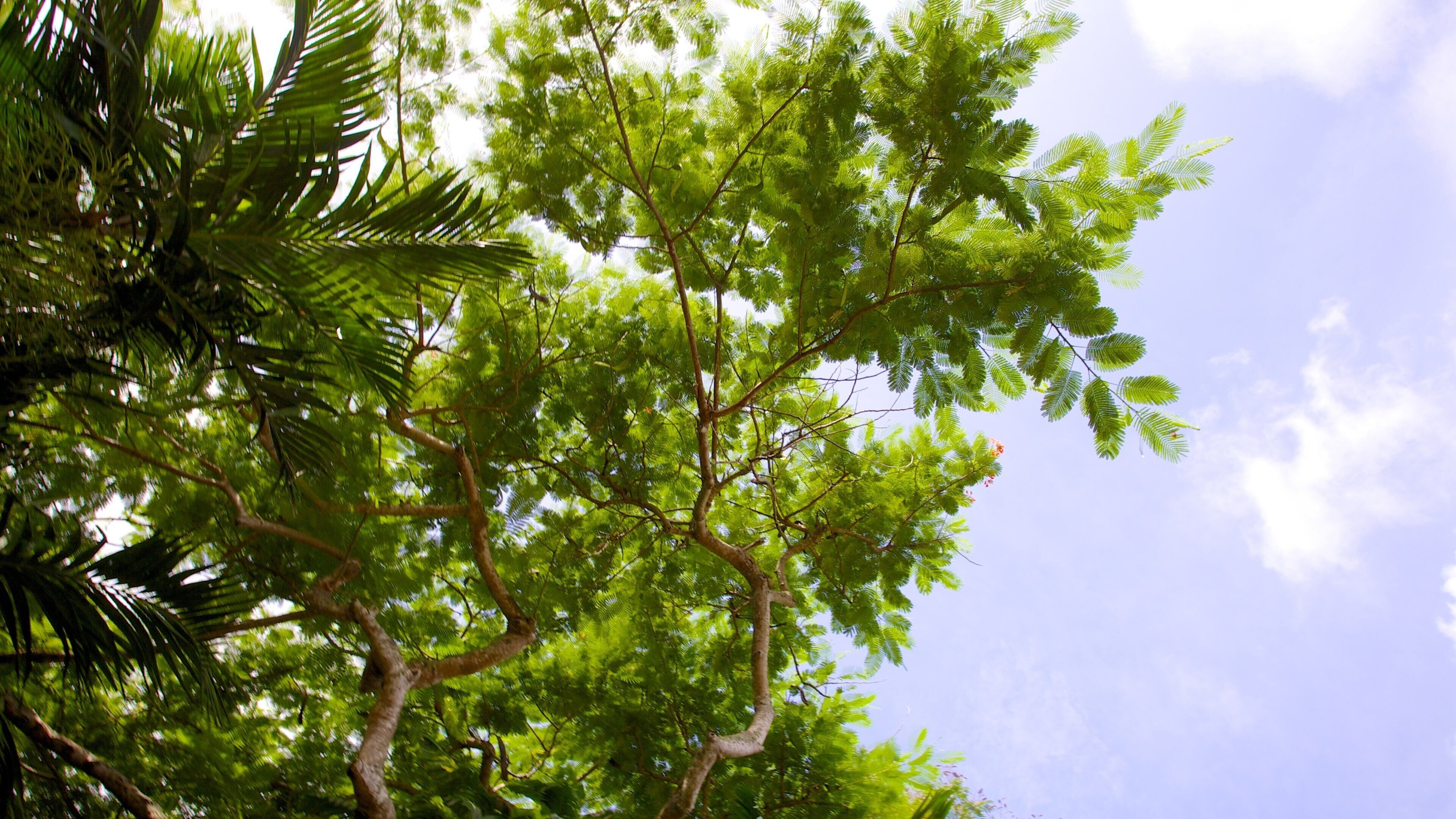 The Retreat Garden National Park das einen Park